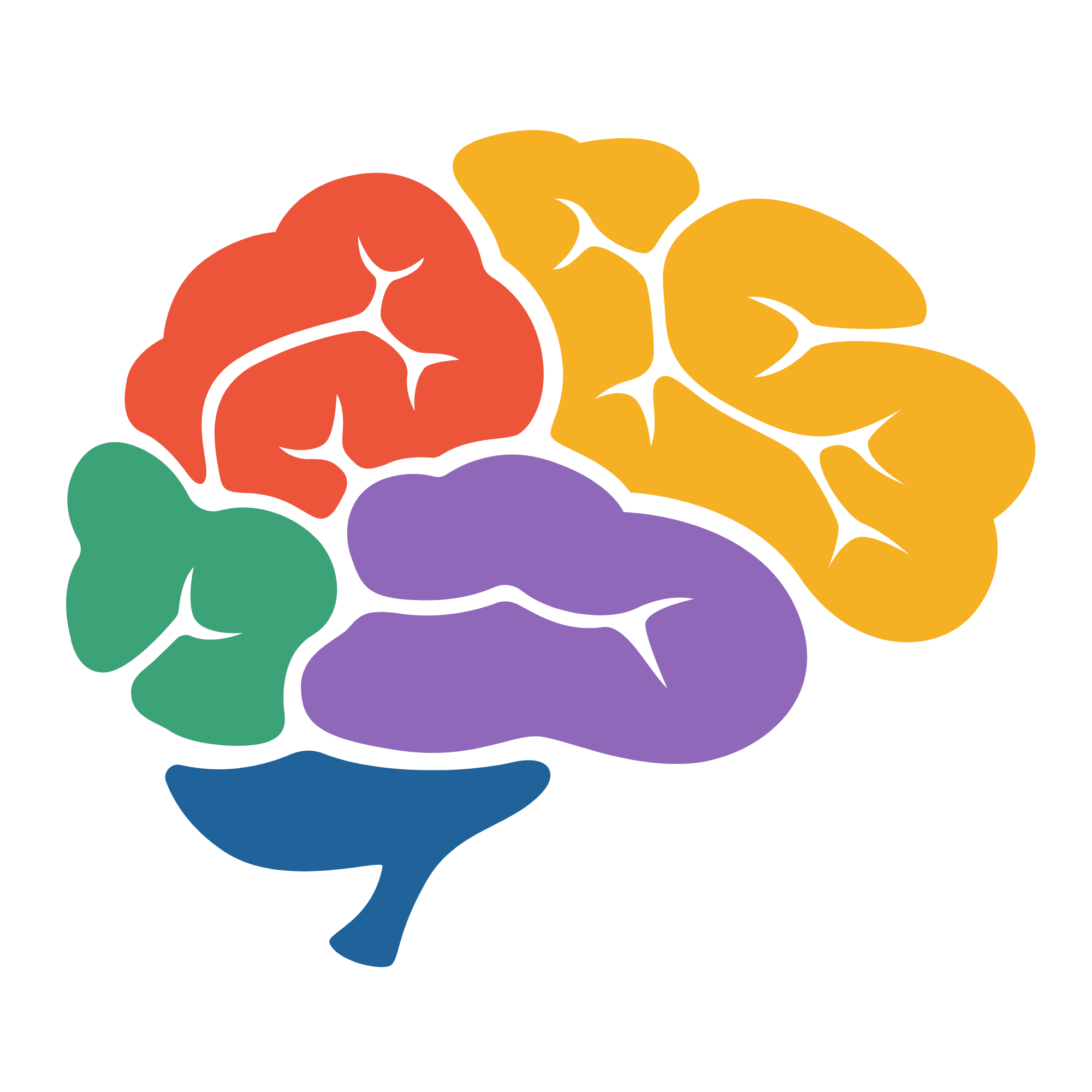 cerebro
